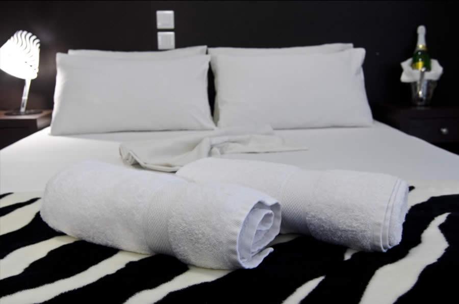 Hotel Anesis Paralia Εξωτερικό φωτογραφία